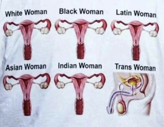 Why are democrats still unable to define a woman?