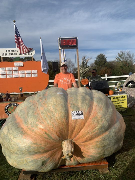 What can you do with a giant pumpkin?