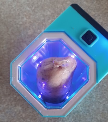 Do you really use a UV sterilizer to clean your sausage?