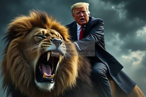Would you like to see Trump tackle a tiger?