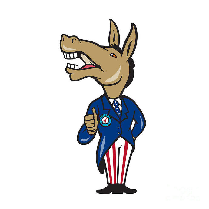 Is the modern-day Democrat party platform only focus is LGBTQI+, immigrants, race, painting people as victims, protecting criminals and tax the rich?
