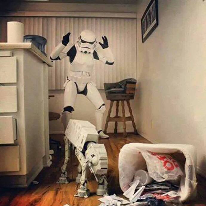 How often does your dog get into the trash can?