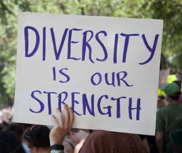 Has the concept Diversity is our strength in regards to nations having different people from different cultures been proven to be a sham?