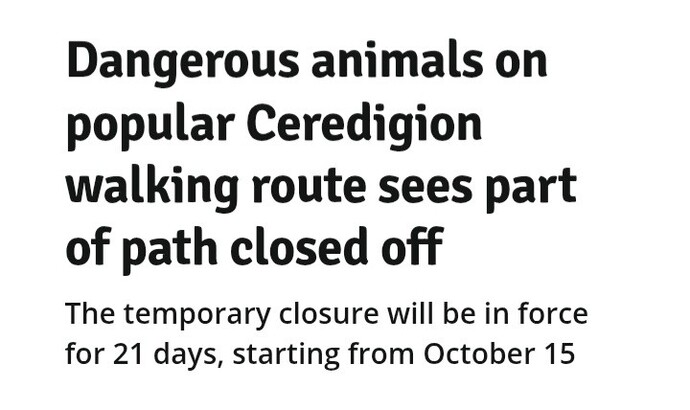 What dangerous animal lurks on this path?