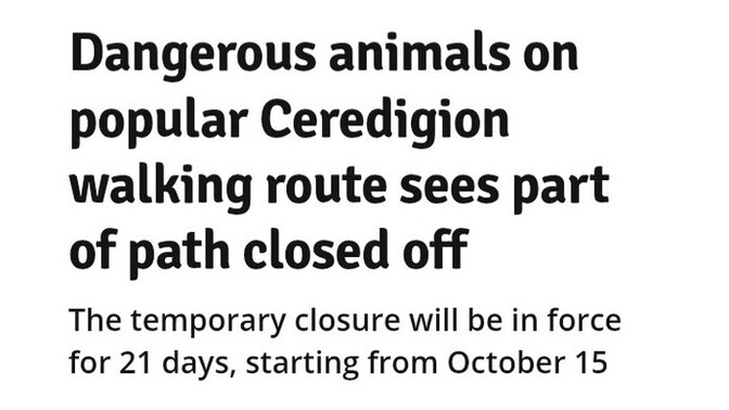 What dangerous animal lurks on this path?