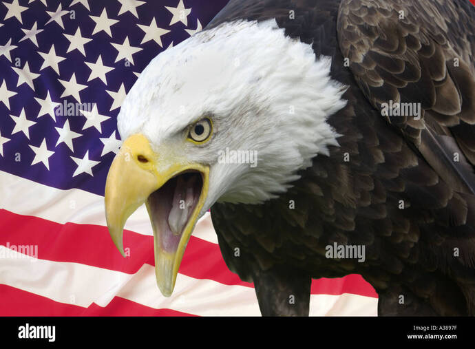 Isn't it ironic that the US, founded against monarchy, owes its independence in part to a Monarchy?