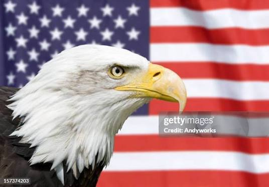 Isn't it ironic that the US, founded against monarchy, owes its independence in part to a Monarchy?
