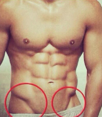 Girls:  What is the V-line on a guy's body?